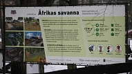 Rīgas zoodārzs "Āfrikas savannas" būvniecībai papildus lūdz vairāk nekā 444 000 eiro