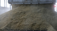 "Swedbank" izsniegusi 750 000 eiro aizdevumu "BaltEx Bulk" graudu termināļa būvniecībai