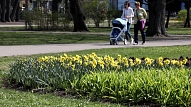 Tuvāko mēnešu laikā Rīgā tiks veikta visu pilsētas parku inventarizācija