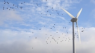 Vēja ģeneratoru parka izbūves pretinieki Dobelē rīko forumu par vēja enerģiju un tās ieguvumiem