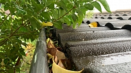 Lietus ūdens noteku pārbaude pirms rudens–ziemas sezonas