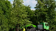 Lielo koku pārstādīšana