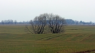 Zemes fonds novembrī sāks piedāvāt reversās nomas pakalpojumu