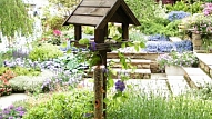 Bird gardening – putnu dārzs pagalmā vai uz balkona
