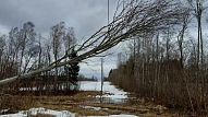 "Sadales tīkls" līdz pirmdienas rītam novērsis 914 vētras radītus elektrotīkla bojājumus