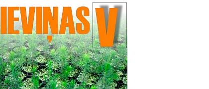 Ieviņas V., LTD, Tree nursery