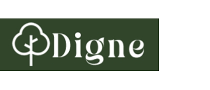 DIGNE, LTD