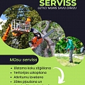 Territory cleaning service, dangerous tree cutting
