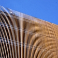 Wooden slats
