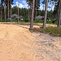 purchase of forests
