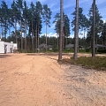 forest purchase