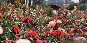 Практичные советы