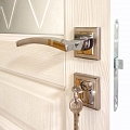 Door handle RAP