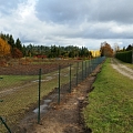 Wicker mesh fence