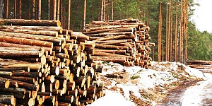 О нас