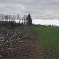 Full logging cycle from the installation of felling areas to the sale of the obtained materials