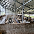 Assembly and electrical installation of Delaval cow farm equipment