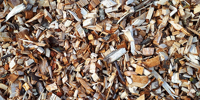 Wood chips for smoking and mulch