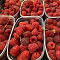 Autumn raspberries