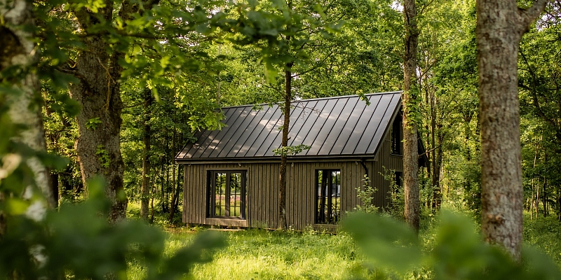 Деревянно панельные дома