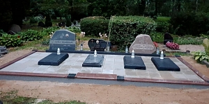 Услуги