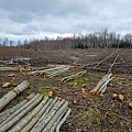 Agricultural land clearing