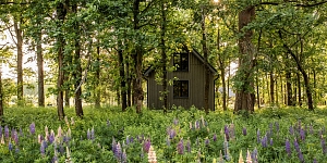 Современные деревянные дома