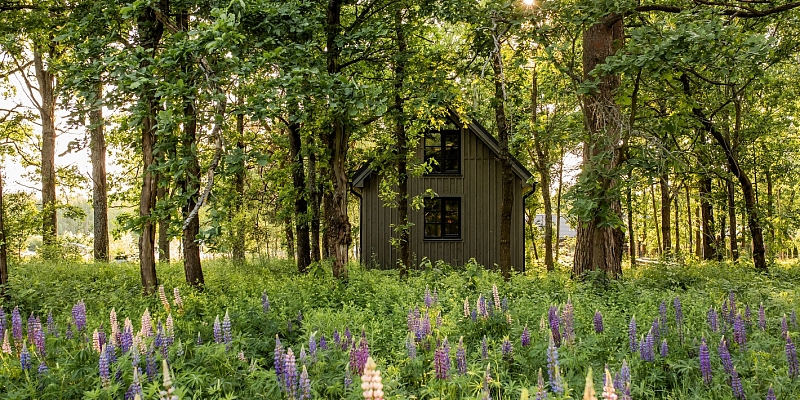 Современные деревянные дома
