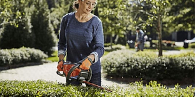 Новости и акции