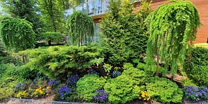 Создание алей