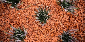 Крашеная щепа