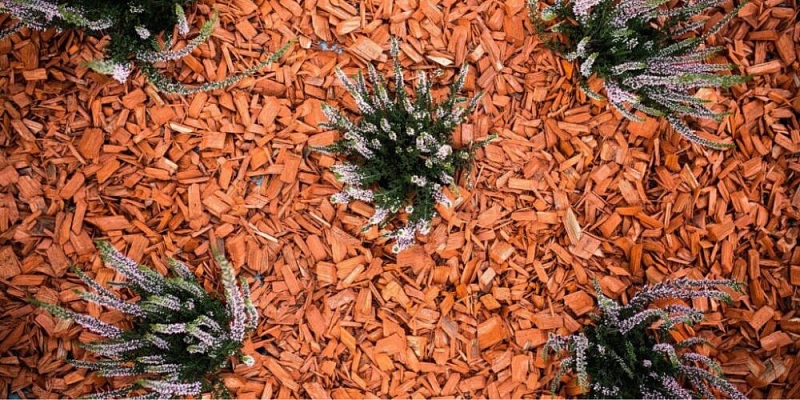 Крашеная щепа