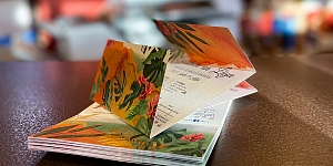 Printing services, photo developing, large-scale printing