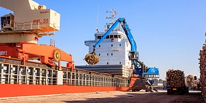 Услуги стивидора