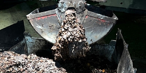 Доставка чернозема