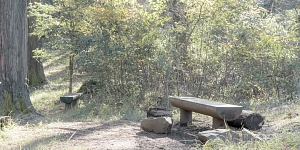 Support in times of grief