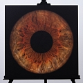 Высококачественная фотография глаза на покраске металла