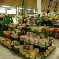 Пластмассовая посуда цветочные горшки хозяйственные товары Валмиера Руйена
