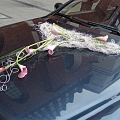 Car decorations