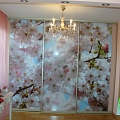 Closet. With sliding glass door, with photo wallpapers.