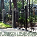 Metal fence gates