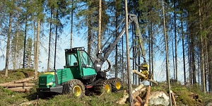 Таксация леса, оценка леса, лесные, покупка вырубок, покупаем леса
