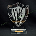 engraving plexiglass trophy cricket kiwibar.