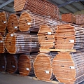 Timber preparation