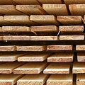 Development of lumber