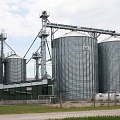 Grain driers