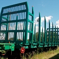 Железнодорожные платформы для перевозки бревен