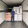 Freeway Logistics trucking