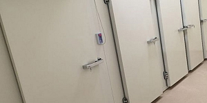 Услуги морга