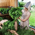 Отличная сауна, гостевой дом "Жуки"